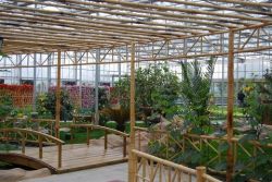 The Eco-restaurant Greenhouse