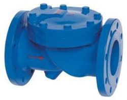 Swing Check Valve