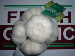 4pcs pure white garlic