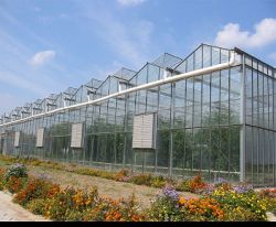 Glass Greenhouse