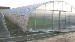 2013 The New Monomer Insertion Shed For Greenhouse