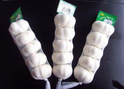 4pcs pure white garlic