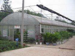 The Semi-pc Boards Greenhouse