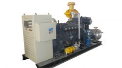 Biogas generator set 5kw-300kw 