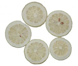  Freeze Dried Lemon Slice-Herb for soft drink