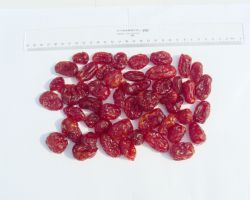 Oem Welcome Emergency Foods Dried Cherry Tomato