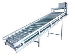 Lifter And Conveyor For Fruit And Vegetable