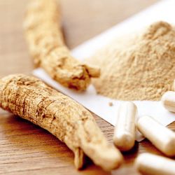 Chinese Herb Medicine Ginseng Extract