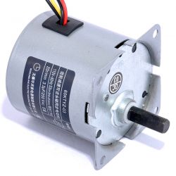 60ktyz Ac Synchronous Micro Motor 