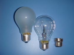 A19 Incandescent Bulb