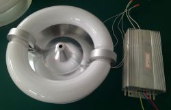 40-300w Annular Induction Lamp