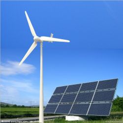 1kw Wind Turbine Generator High Efficiency 