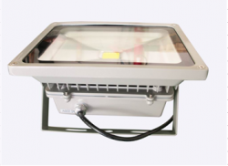 30W LED Flood light