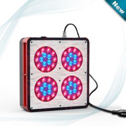 Apollo_4_led_grow_light Best For Hydroponics 