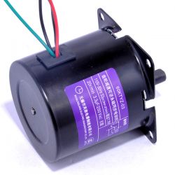 Ac Motor