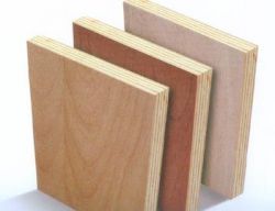 Veneer plywood