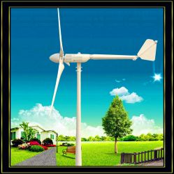 1kw Wind Turbine Generator High Efficiency 