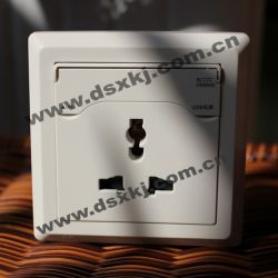 Combination USB Charger with Tamper Resistant Rece