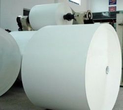 Pe Coated Paper In Rolls  