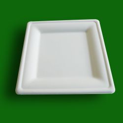rectangular paper plate,oval paper plate,roundish