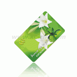 ic printed card  id card