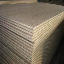 Plywood 