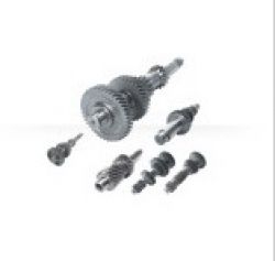 Transmission Gear and Shaft