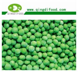 Frozen Pea 