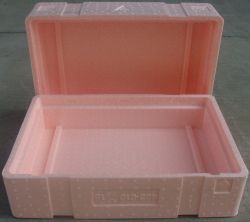 EPP thermal cooler box