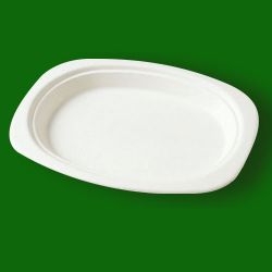 Rectangular Paper Plate,oval Paper Plate,roundish