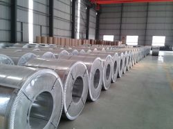 Galvanized Steel Coil / Gi / Hdgi 