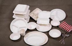 Microwave,recycled,biodegradable Paper Tableware