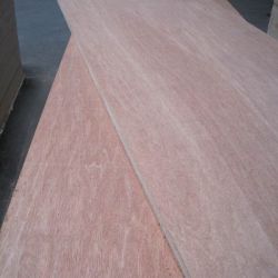 Bingtangor Plywood 