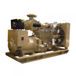 Cummins Diesel Generator Set