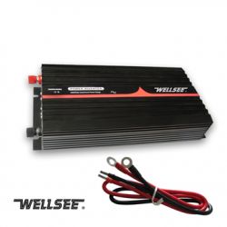 Ws-ic150 Wellsee Automotive Inverter