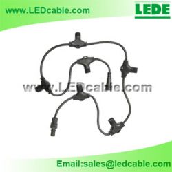 Led Lighting Waterproof Cable With Multiple Ports 