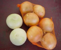 Supply Chinese fresh yellow onions