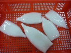 Frozen Squid Tube Iqf Cleaned (todaordes Pacificus