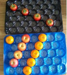 Fruit Trays