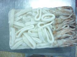 Frozen Squid R&t Block (todaordes Pacificus）