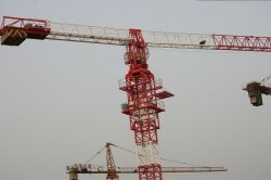 Hemmer-head Tower Crane (qtz50p(pt4810))