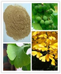 Ginkgo Biloba Extract