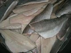 Frozen Sea Bass Fillet Fillets