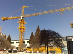 Construction Tower Crane With Ce Qtz125 6515-10t