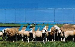 Farm Field Fence 