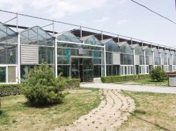 Venlo Glass Greenhouse, Glass House