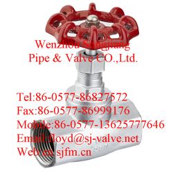 Globe Valve