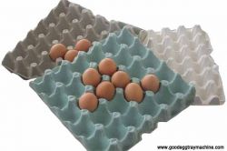 Egg Packaging Equipment (fz-zmw-3)