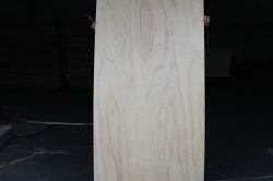 Birch Plywood 