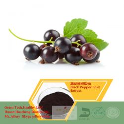 Blackcurrant Extract 5%-35% Anthocyanins